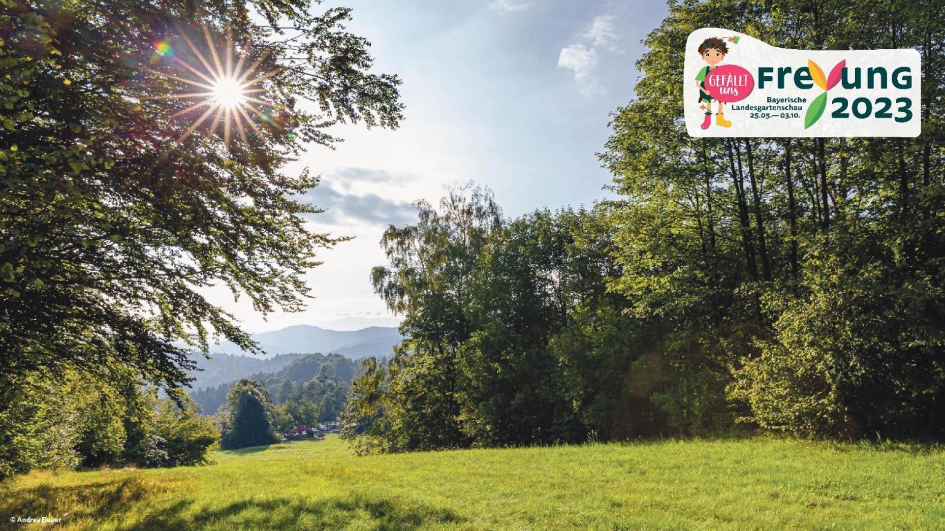 Ferienwohnungen Bayerischer Wald Mit Pool Freyung Esterno foto